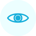 Vision